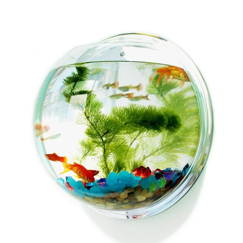 Betta Fish Tank - Pinsjar وعاء السمك الأكريليك الجدار الشنق