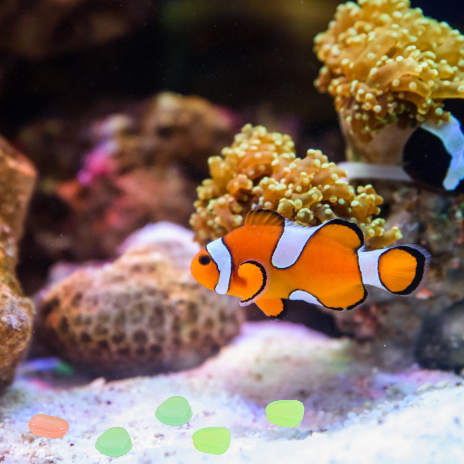 400 قطعة من الحصى المضيئة في ا - مراجعة Fish Tank Gravel وسعره