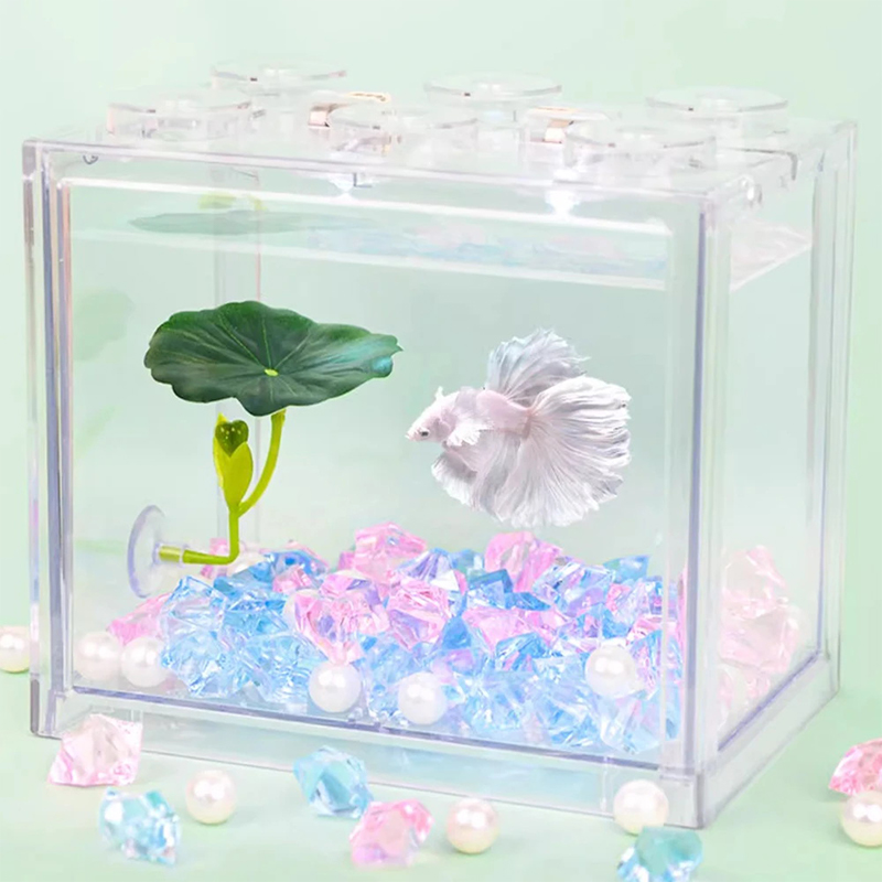 (Ce14) 1/5 قطعة، أرجوحة على شك - مراجعة Betta Fish Tank وسعره