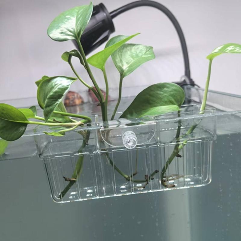 سلة زراعة مائية من الدرجة الغذ - مراجعة Aquarium Fish Tank وسعره