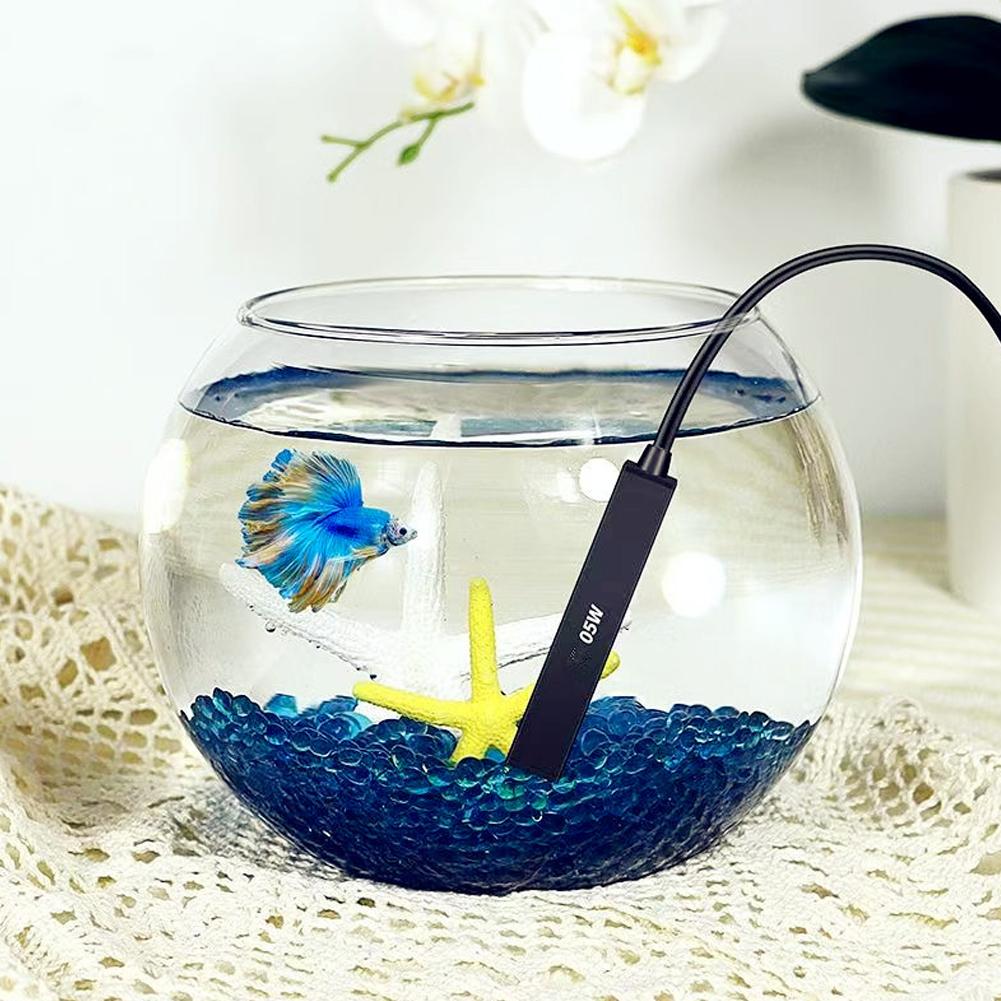 سخان حوض أسماك صغير يعمل بمنفذ - مراجعة Betta Fish Tank وسعره